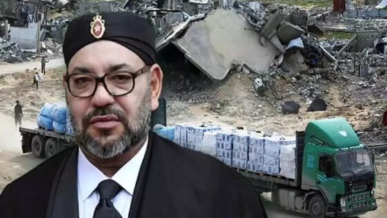 الهباش: المساعدة الإنسانية والطبية العاجلة للشعب الفلسطيني، وخاصة ساكنة قطاع غزة، التفاتة كريمة من جلالة الملك تنضاف إلى مبادرات جلالته الداعمة للقضية الفلسطينية