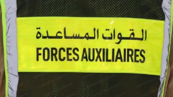 الداخلة.. فتح بحث قضائي لتحديد ظروف وملابسات تورط أحد أفراد القوات المساعدة في قضية تحرش وابتزاز مادي