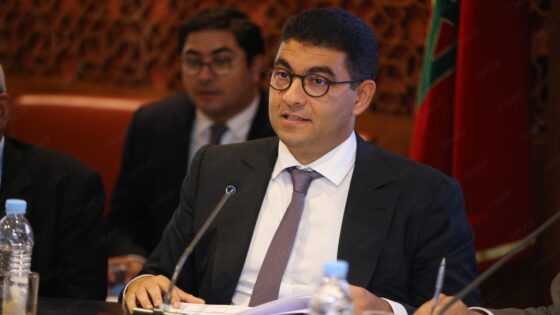 المجلس الوطني للصحافة.. بنسعيد: الحكومة تفاعلت بإيجابية مع ملاحظات المحكمة الدستورية