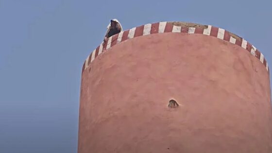 بني ملال.. إنهاء الشكل الاحتجاجي الذي انخرط فيه شخص اعتصم فوق خزان مياه بجماعة أولاد يوسف، بتسجيل قيام المعني بالأمر بالإلقاء بنفسه من أعلى الخزان