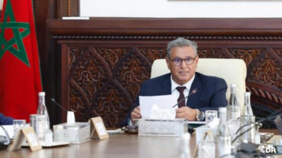 أخنوش يؤكد على التطور الإيجابي للاقتصاد الوطني رغم السياق الدولي المتقلب