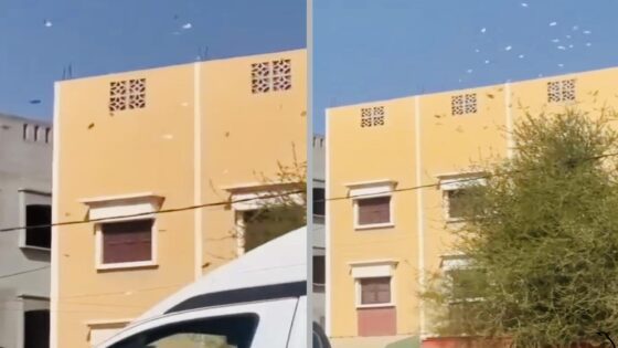 هذه تفاصيل سرقة أموال وإلقائها من سطح منزل بأولاد تايمة