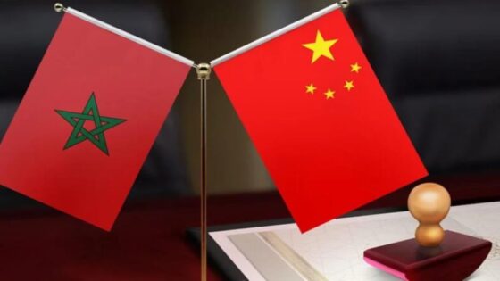 المغرب-الصين: استكشاف فرص تعزيز الاستثمار بين المملكة ومقاطعة آنهوي