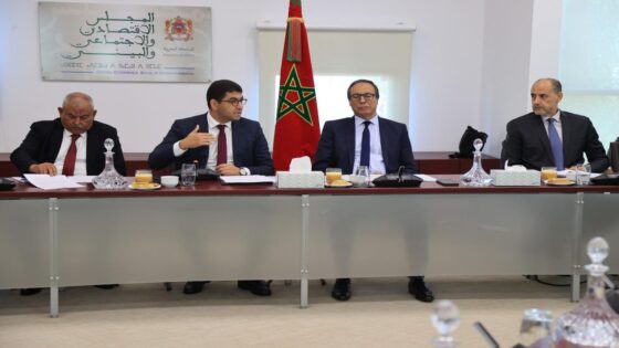 قانون المجلس الوطني للصحافة.. الحكومة تتفاعل مع المجلس الاقتصادي والاجتماعي وبنسعيد يقدم معطيات حول المشروع