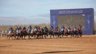 مندوب المعرض: الدورة الـ 16 لمعرض الفرس للجديدة تعزز مكانة المغرب كوجهة رائدة للفروسية
