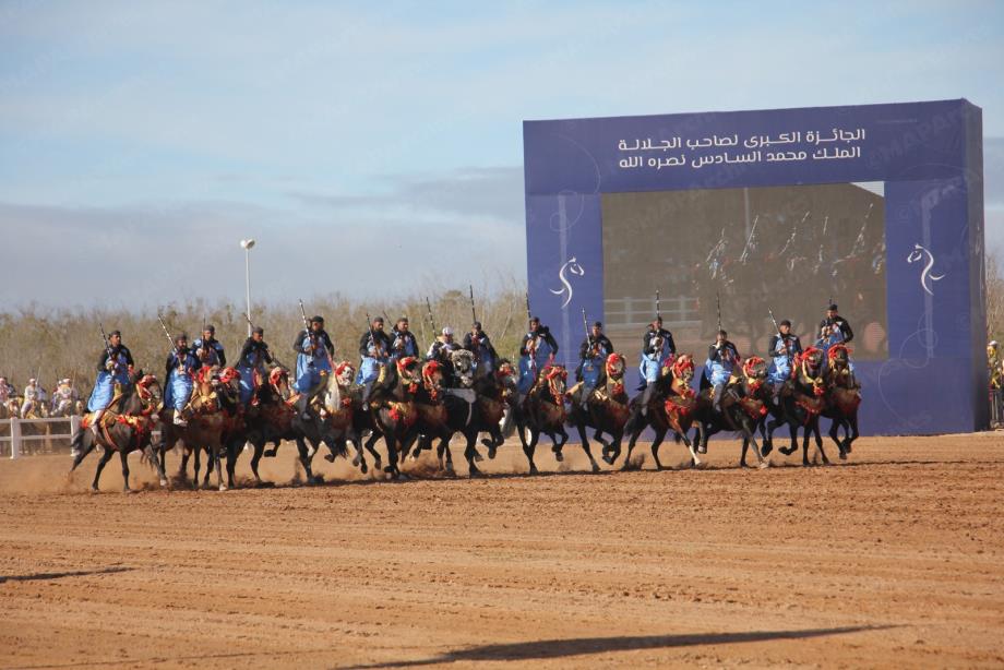 مندوب المعرض: الدورة الـ 16 لمعرض الفرس للجديدة تعزز مكانة المغرب كوجهة رائدة للفروسية