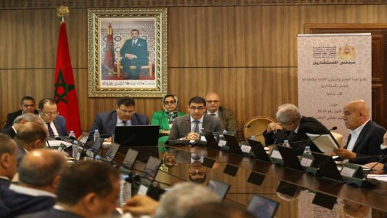 إعادة تنظيم المجلس الوطني للصحافة وسيلة للارتقاء بالمهنة وتقوية استقلاليتها