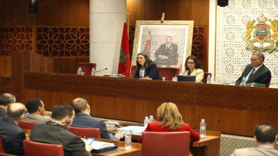 نادية فتاح: مشروع قانون المالية لـ2026 يترجم إرادة ترسيخ مسيرة “المغرب الصاعد” القائمة على التنمية الشاملة