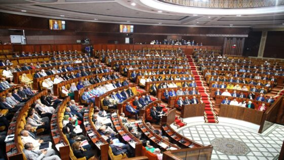 الصحراء المغربية.. أعضاء البرلمان: قرار مجلس الأمن 2797 تتويج لجهود دبلوماسية دؤوبة بقيادة جلالة الملك