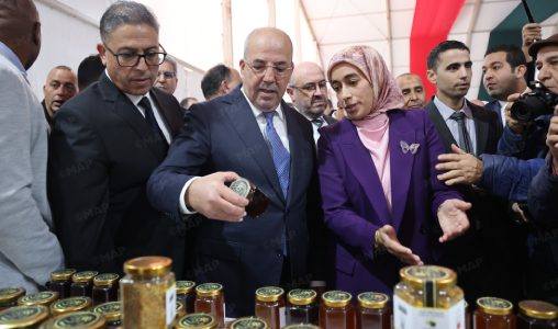 أكنول: افتتاح الدورة التاسعة لمهرجان اللوز