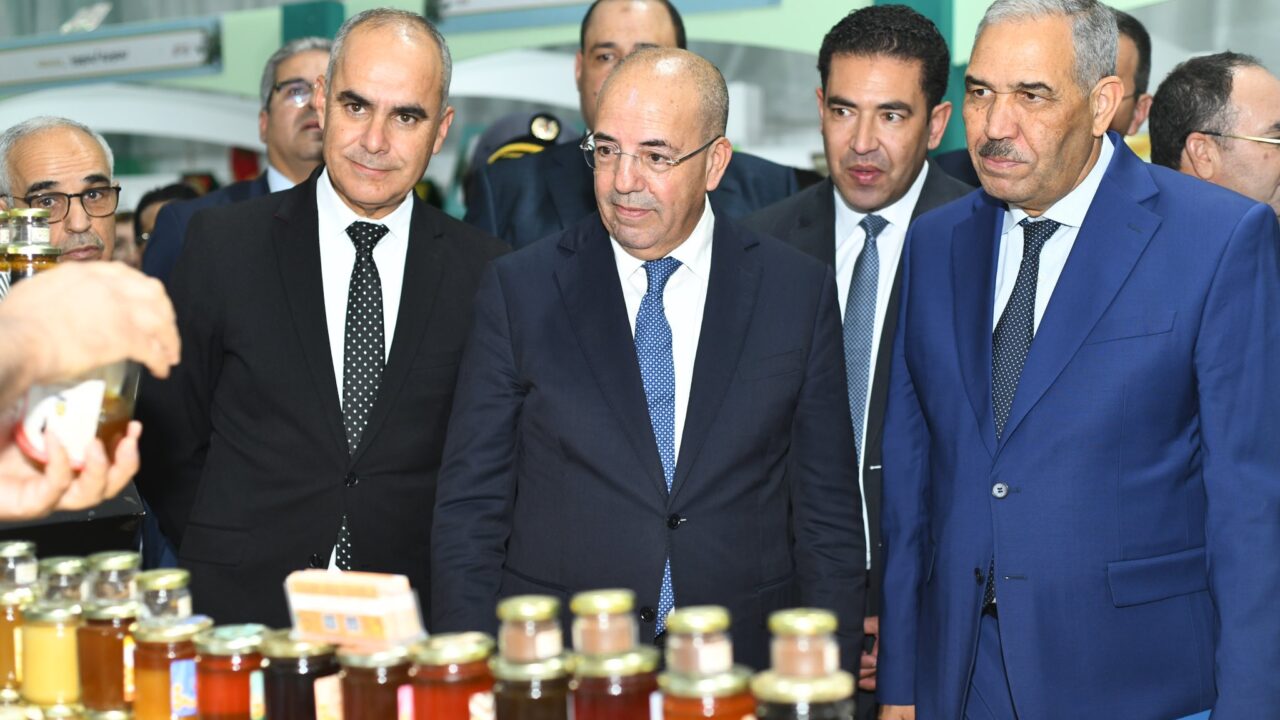 جرسيف.. البواري يفتتح المعرض الجهوي للزيتون