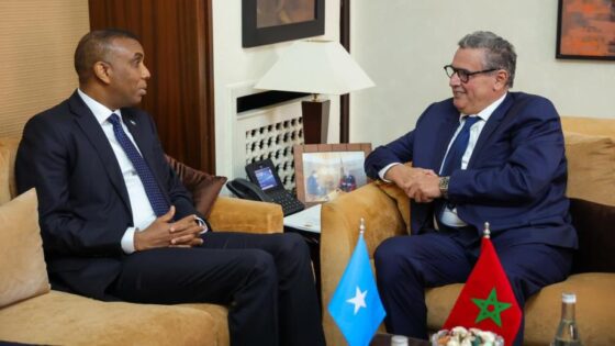أخنوش يجري مباحثات بالرباط مع رئيس الوزراء بجمهورية الصومال الفيدرالية