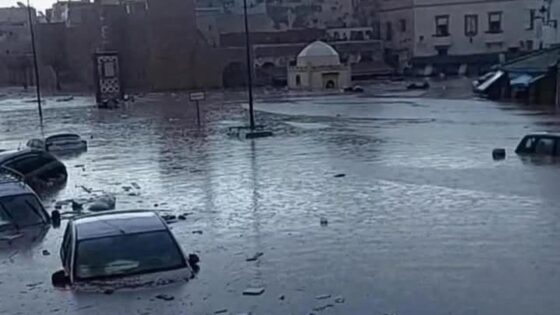 آسفي: فعاليات محلية تعرب عن ارتياحها عقب إطلاق برنامج واسع لإعادة تأهيل المناطق المتضررة من الفيضانات