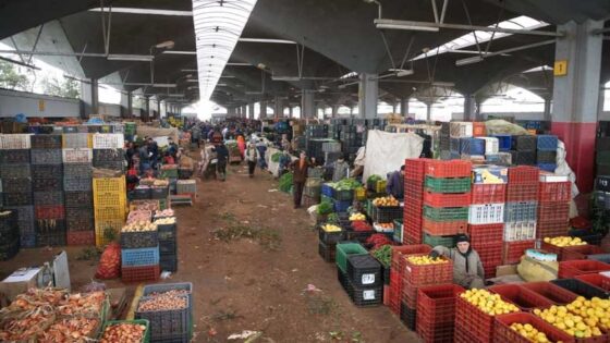 قطاع التجارة.. 27 في المائة من تجار الجملة يتوقعون ارتفاعا في حجم المبيعات