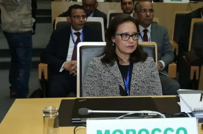 أديس أبابا: المغرب يجدد التأكيد على موقفه الثابت لصالح عدالة قضية الشعب الفلسطيني
