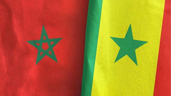 المغرب والسنغال عازمان على تعزيز تعاونهما في مجالات التعليم العالي والبحث العلمي والابتكار