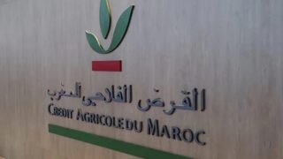 القرض الفلاحي للمغرب.. ارتفاع النتيجة الصافية لحصة المجموعة بـ 2 في المائة سنة 2025