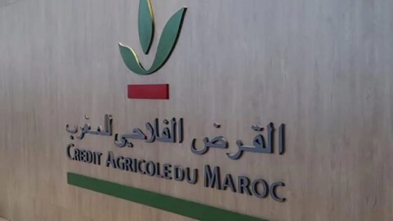 القرض الفلاحي للمغرب.. ارتفاع النتيجة الصافية لحصة المجموعة بـ 2 في المائة سنة 2025