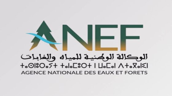 الوكالة الوطنية للمياه والغابات تنفي قطع أشجار بغابة المعمورة