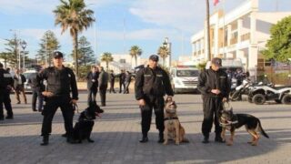 مديرية الأمن الوطني تعزز التعاون الأمني مع مالي عبر تكوين متقدم في الشرطة السينوتقنية