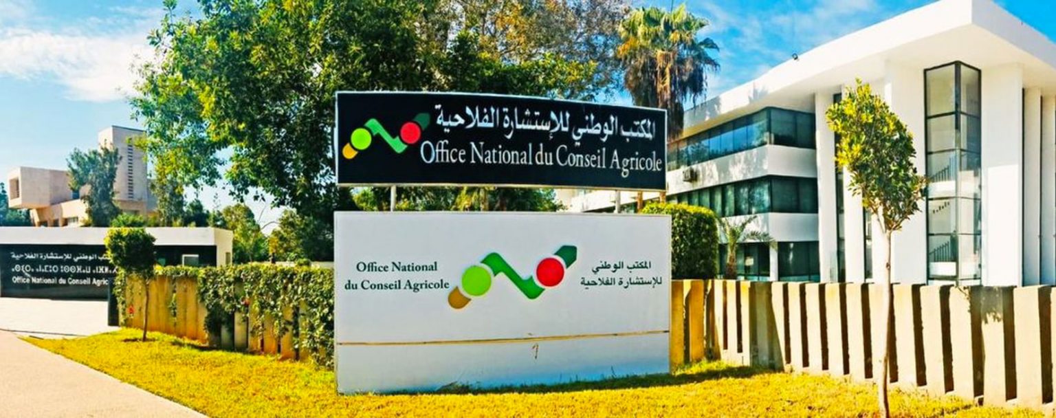 المكتب الوطني للاستشارة الفلاحية والمديرية العامة للأرصاد الجوية يتفقان على تطوير وتحسين الخدمات المناخية -الزراعية