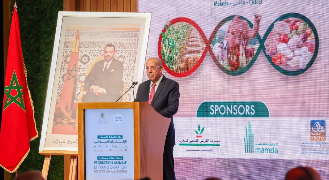 البواري: الإنتاج الحيواني بالمغرب يساهم بحوالي 35 في المائة من الناتج الداخلي الخام الفلاحي