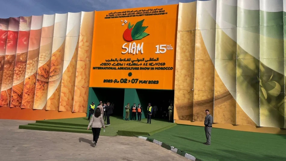 الملتقى الدولي للفلاحة بمكناس.. جهة الدار البيضاء- سطات تسلط الضوء على إمكانياتها الفلاحية والحيوانية