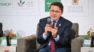 تحويل الصناعات الغذائية.. الفاو: المغرب مرجع للتعاون جنوب-جنوب