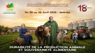 الملتقى الدولي للفلاحة بالمغرب.. دينامية متواصلة للدبلوماسية الفلاحية