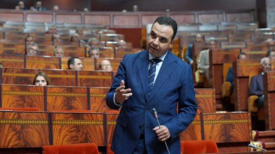 مجلس المستشارين.. الحكومة تبرز حصيلة التفاعل مع توصيات المجلس الأعلى للحسابات في عدد من القطاعات