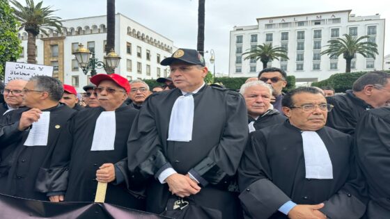 زلزال في المحاماة.. نقباء الهيئات يعتزمون تقديم استقالتهم