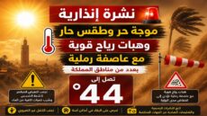 نشرة إنذارية.. موجة حر وطقس حار وهبات رياح قوية بعدد من مناطق المملكة