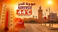 موجة حر خانقة تضرب وجدة ودرجات الحرارة تلامس 44 درجة مئوية